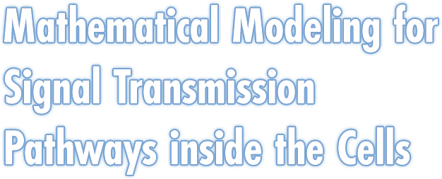 Mathematical Modeling for Signal Transmission Pathways inside the Cells